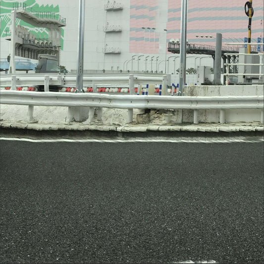 Kingdom photo C print